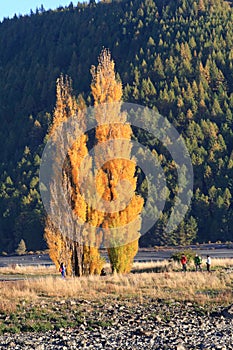 Lake Tekapo,South Island New Zealand.