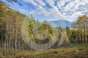 Lake Teletskoye, Altai Mountains.