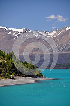 Lake Tepako headland