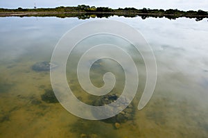 Lake Thetis Stromatolites