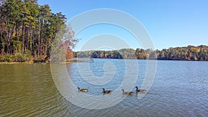 Lake Thom-A-Lex in Lexington and Thomasville, North Carolina