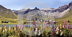 Lake of Tignes and flowers in France photo