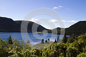 Lake Tikitapu (Blue Lake), Rotorua, New Zealand