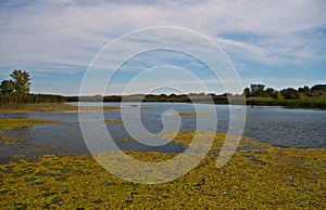 Lake Tisza, Hungary