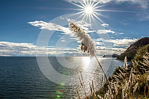 Lake Titicaca -2-