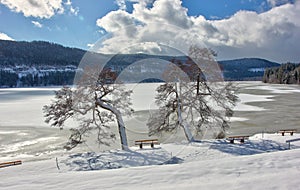 Lake Titisee in winter. Black Forest, Germany.