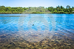 Lake Titreyen Gol in Turkey. Summer landscape with blue water and green trees behind