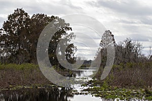 Lake Tohopekaliga near Kissimmee in Florida