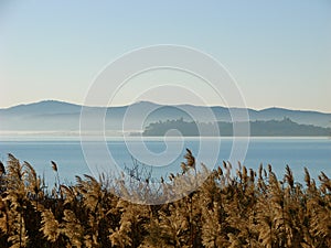 Lake Trasimeno, Italy photo