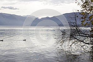 Lake Traunsee and Alps seen from Toscana Park in Gmunden, Austria