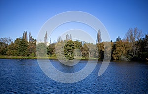 Lake with tree in Perry Park Birmingham