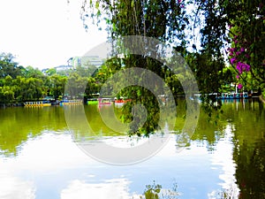 A lake with the tree reflectionand the blue sky