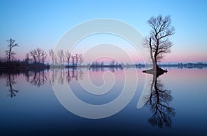 Jezero se stromem při východu slunce, Slovensko