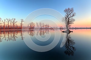 Jezero se stromem při východu slunce, Slovensko