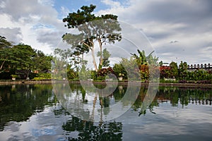 Lake with tree of the Temple in Bali Tirta Gangga