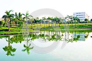 Lake and trees