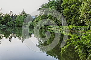 Lake and Trees