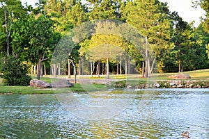 Lake with trees