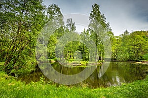 Jezero u stromů v arboretu