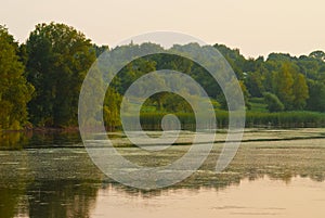 Lake and trees around