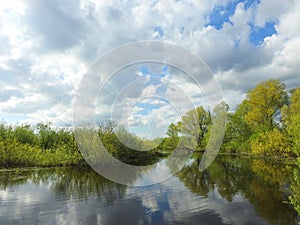 Lake, trees and beautiful cloudy sky, Lithuania