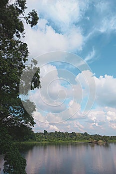 The lake of trees and clouds is beautiful and cool