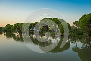 Lake with trees in the evening sunset