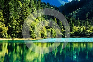 Lake and Trees in Jiuzhaigou Valley, Sichuan, China