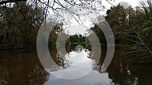 Lake and trees at Johnstown Castle