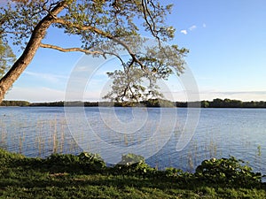 Lake with trees. Lake with trees near by Soro in Denmark. Lakeside trees in autumn. photo