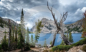 a lake and trees on a mountain slope near a forest