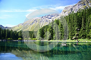 Lake, trees and mountains