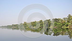 Lake, Trees, Sky Mirror Effect