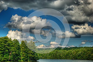 Lake, Trees and Sky in Summer photo