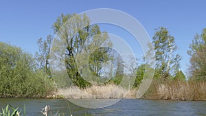 Lake with trees  in spring, Germany, Europe