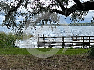 The lake at Trimble Park in Mount Dora, Florida on a sunny day photo