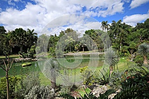 Lake and Tropical Landscaping at Pinecrest Gardens