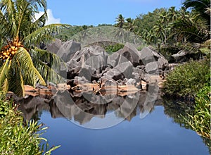 Lake of the tropical paradise island.