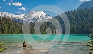 The lake with turquoise water is surrounded by coniferous forests and mountains. Joffre Lakes BC national park in Canada