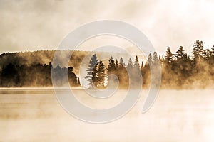 Lake of two rivers algonquin national park ontario canada sunset sunrise with fog foggy mystical atmosphere background