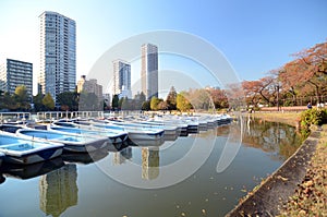 Lake in Ueno Park, Tokyo photo