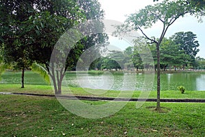 Lake at UKM Malaysia