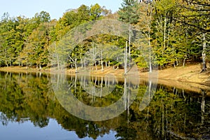 The lake of Umbra Forest in Gargano National Park. photo