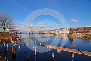 Lake Union