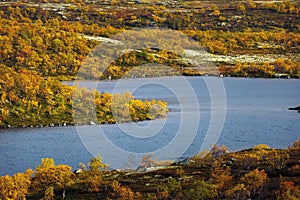 Lake with vegetation in the tundra in autumn. Kola Peninsula, Russia
