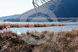Lake Vico natural reseve