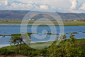 Lake Victoria landscape near city Kisumu in Kenya