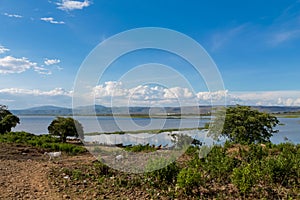 Lake Victoria landscape