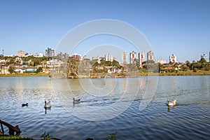 Lake view of Barigui Park with geese and city skyline - Curitiba, Parana, Brazil photo