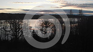 Lake View at Dusk, Barren Silhouette Trees, Descending Aerial